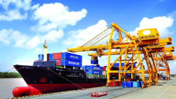 Xuất nhập khẩu hàng hóa đạt 555 tỷ USD