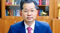 Bí thư Đà Nẵng làm Phó tổng Thanh tra Chính phủ