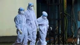 Virus Nipah có nguy cơ vào Việt Nam, Bộ Y tế ra chỉ đạo khẩn