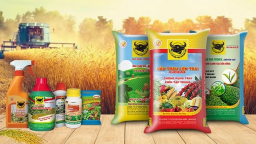 Phân bón Bình Điền bị phạt và truy thu thuế hơn 3,6 tỷ đồng