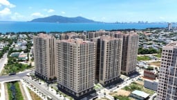 Hà Nội đề xuất ưu tiên cán bộ, công chức mua nhà ở xã hội không qua bốc thăm