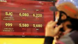 Giá vàng miếng sáng nay giảm mạnh, người mua lỗ nặng