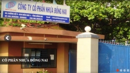 Khai sai thuế GTGT, nhựa Đồng Nai bị phạt, truy thu tới 2,4 tỷ đồng