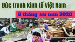 Bức tranh kinh tế Việt Nam 8 tháng đầu năm 2020