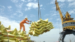 Giá gạo Việt lên tới 490 USD/tấn, cao nhất trong 9 năm qua