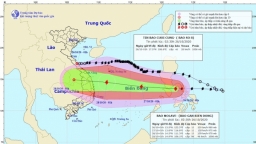 Bão giật cấp 17 đang di chuyển nhanh về đất liền Đà Nẵng - Phú Yên