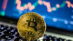 Giá Bitcoin lại vượt 61.000 USD