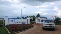 Vẫn nhức nhối môi trường ở trang trại bò TH Nghệ An