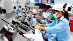 Số doanh nghiệp quay trở lại hoạt động tăng 67,5%