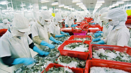 Quả đắng từ việc rửa sản phẩm bằng... nước sông, hồ