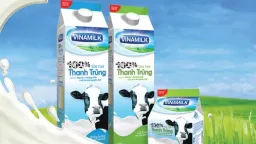 Cổ phiếu Vinamilk tăng mạnh, vứa bán hết, Đầu tư SCIC lại muốn mua vào