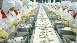 Không dễ để tận dụng ưu đãi từ FTA VN-EAEU