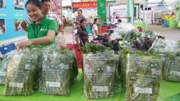 Xuất khẩu nông lâm và thủy sản 10 tháng đạt 26,4 tỷ USD