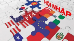 Băn khoăn về ưu đãi cho nhà đầu tư 'nội' và TPP