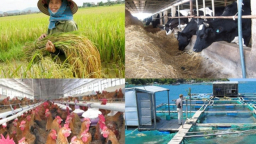 Tiền đổ vào nông nghiệp gấp hơn 2 lần vào bất động sản