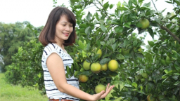 Cam Cao Phong vào vụ 'được' giá