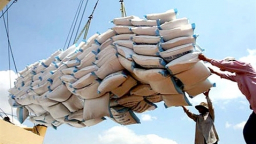 Tồn kho 1,2 triệu tấn gạo
