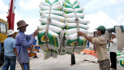 Trung Quốc kiểm tra 31 doanh nghiệp xuất khẩu gạo Việt Nam