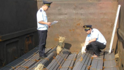 Không phân loại thép hợp kim theo hình dạng chữ I, chữ H