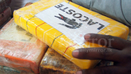 200 kg cocaine đội lốt đường nhập khẩu