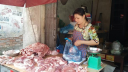 Các mẫu thịt kiểm nghiệm đã “vắng bóng” Salbutamol