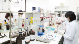 Thay đổi khoảng 28,3% mẫu so với khai báo sau khi kiểm định hải quan
