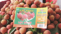 Cấp bách xây dựng chỉ dẫn địa lý cho nông sản Việt