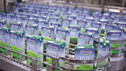 Đấu giá Vinamilk, hồi hộp chờ giờ G