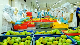 Sớm thành lập Phòng Thương mại Malaysia-Việt Nam