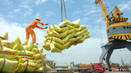 Thương hiệu nông sản Việt xuất khẩu: Bao giờ chính danh?