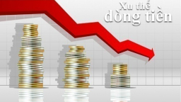 Xu thế dòng tiền: VNM có ảnh hưởng tới thị trường?