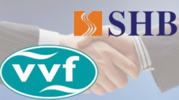 Chính thức sáp nhập Tài chính Vinaconex – Viettel vào SHB