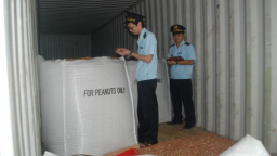 Không có cơ sở khẳng định gian lận trong nhập khẩu nấm, tỏi từ Trung Quốc