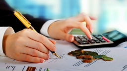Hiệu quả của quỹ mở vượt xa VnIndex trong năm 2016