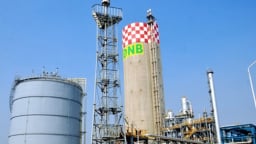 Đạm Ninh Bình dự báo lỗ khoảng 1.200 tỷ đồng