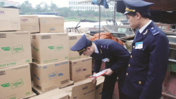 Tạm nhập chân gà, nhưng xuất đất, cát