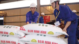 Hàng loạt sai phạm tại nhà máy Đạm Ninh Bình