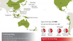 APEC - Cơ chế hợp tác kinh tế hàng đầu châu Á-Thái Bình Dương