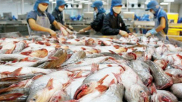 Cổ phiếu Thủy sản Hùng Vương bị đưa vào diện cảnh báo