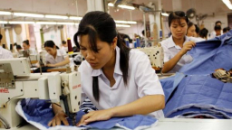 Không có cơ sở sản xuất không được miễn thuế NK nguyên liệu