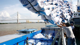 Gạo Việt chật vật cạnh tranh ở phân khúc chất lượng cao
