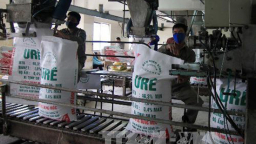 Tập đoàn Hóa chất Việt Nam tạo 'lối thoát' cho 4 doanh nghiệp phân bón thua lỗ