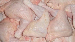 Bí ẩn gà 10 ngàn/kg: Xương đen thui, thịt mục nát
