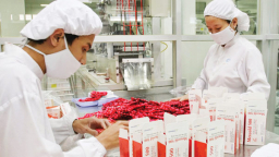Nỗ lực nâng cao chất lượng thuốc Việt