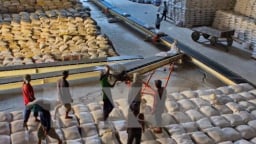 Xuất khẩu gạo lại rơi vào vòng xoáy trầm lắng