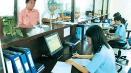 Triển khai xây dựng Đề án liêm chính hải quan