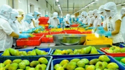 UAE cấm nhập rau quả từ 5 nước, cơ hội cho Việt Nam