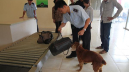 Tội phạm ma túy qua biên giới Tây Ninh diễn biến phức tạp