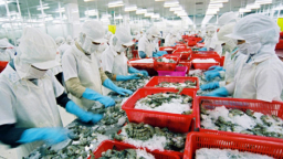 Vốn từ Hàn Quốc và Nhật Bản đang chiếm hơn 50% FDI vào Việt Nam
