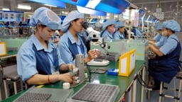 Doanh nghiệp Châu âu tin tưởng và kỳ vọng vào môi trường kinh doanh ở Việt Nam